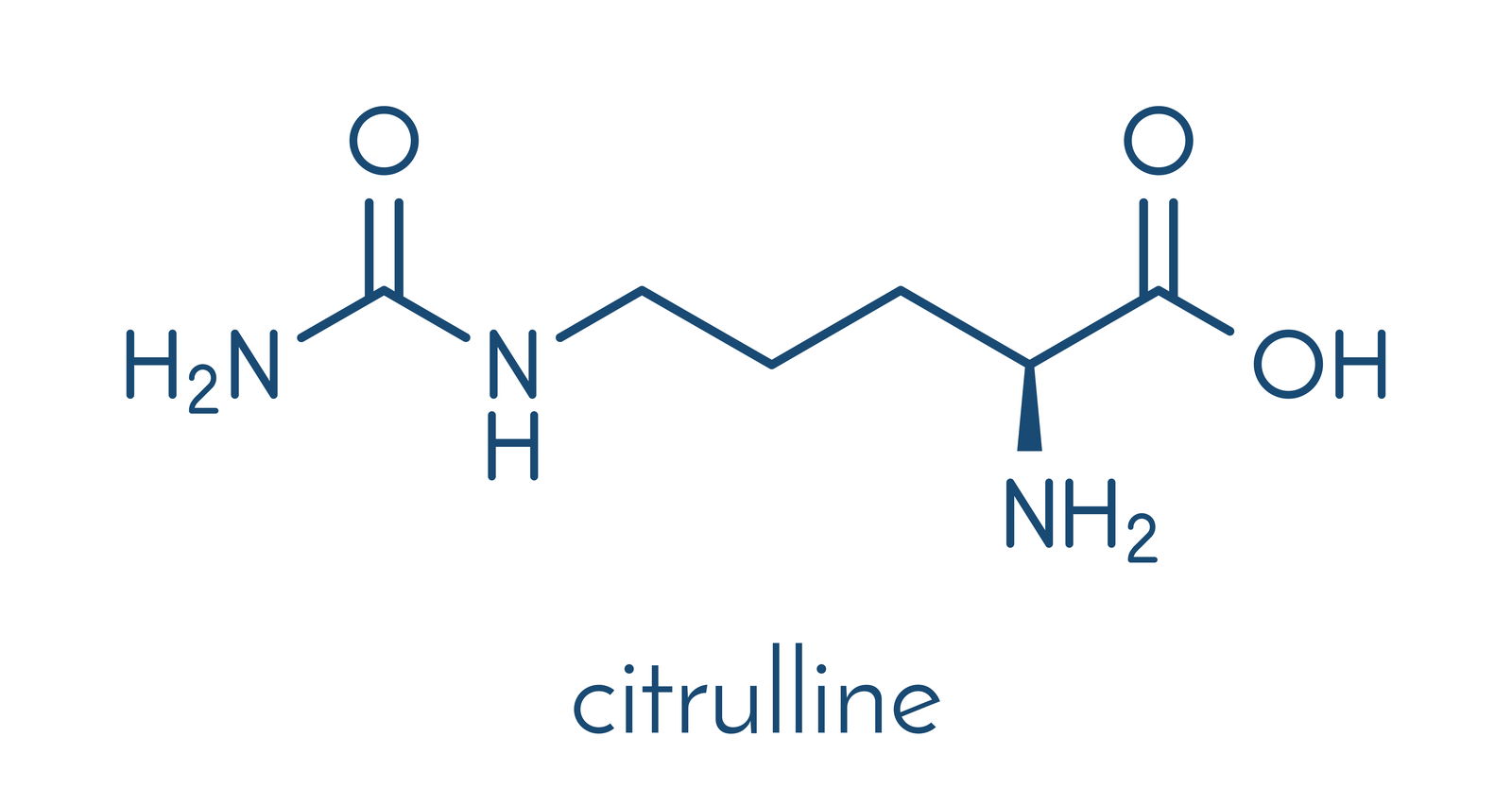 Formula chimica della citrullina 