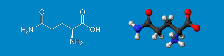 Fórmula química de la glutamina y representación molecular