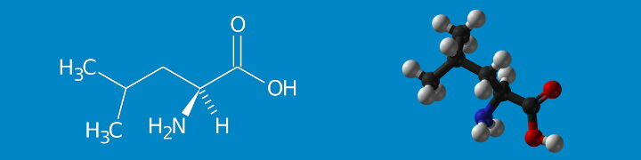 Formula chimica della leucina e rappresentazione molecolare