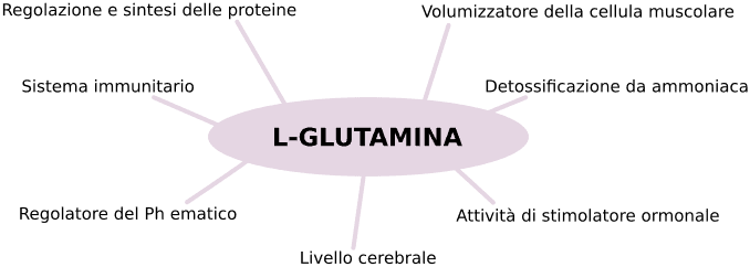 Tante utilità della glutamina