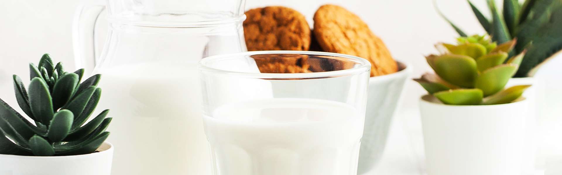 Milch oder keine Milch?