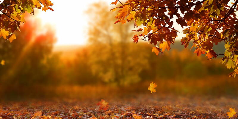 Herbst: seine Farben, seine Aromen und..seine Vitamine!