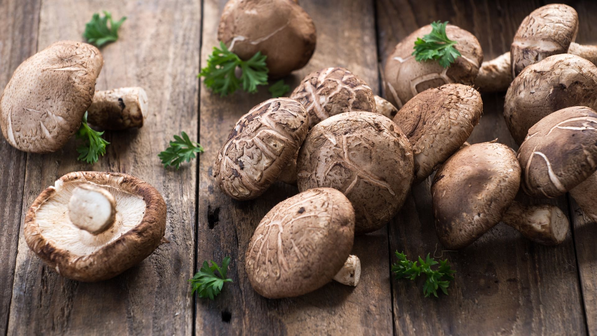 Fungo Shiitake Proprietà benefiche e storia dello shiitake