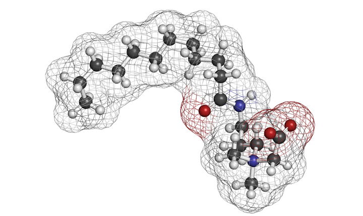 Fórmula molecular de betaína