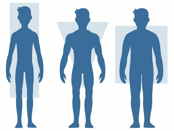 Ectomorph Mesomorph and Endomorph physiques