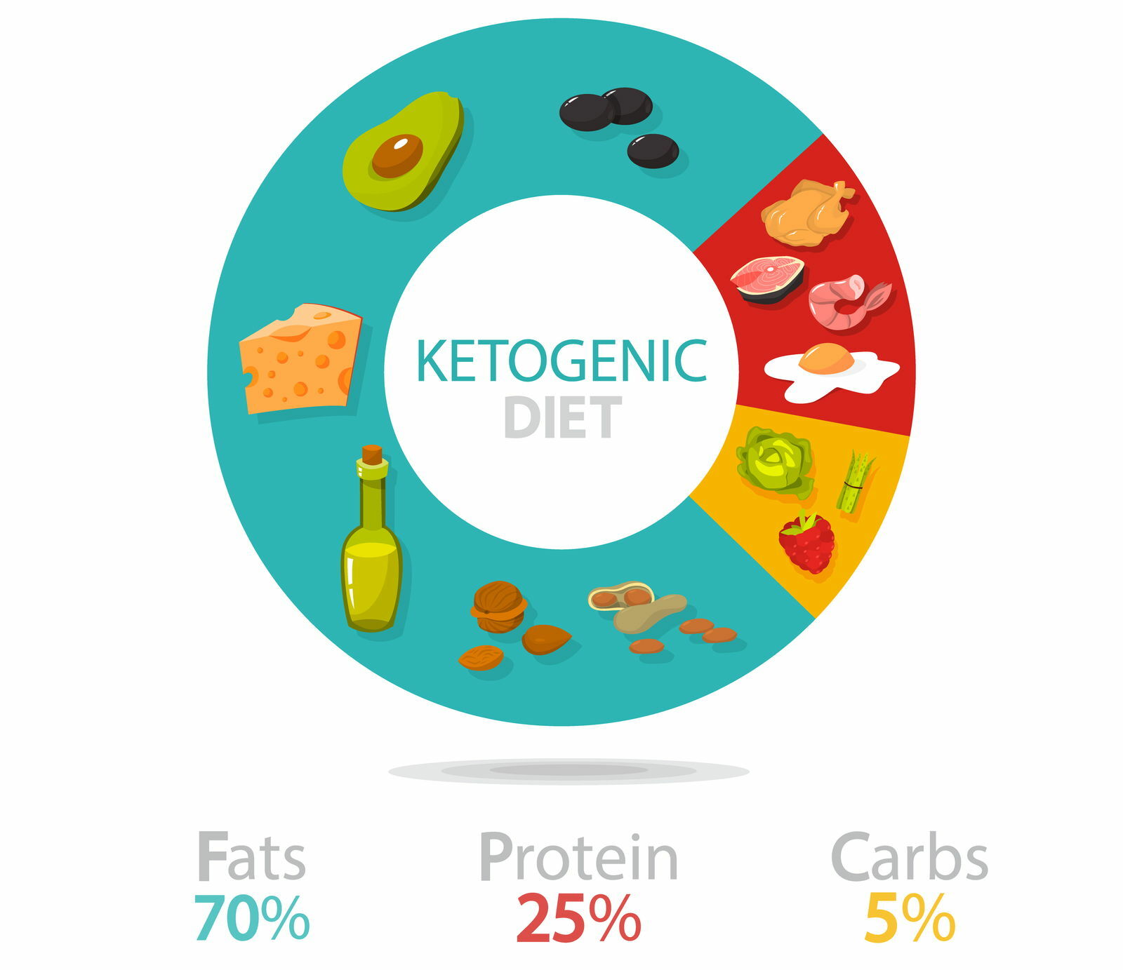A hypothesis of nutrient subdivision in the ketogenic diet.