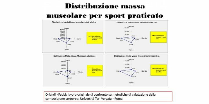 study of muscle mass distribution by sport