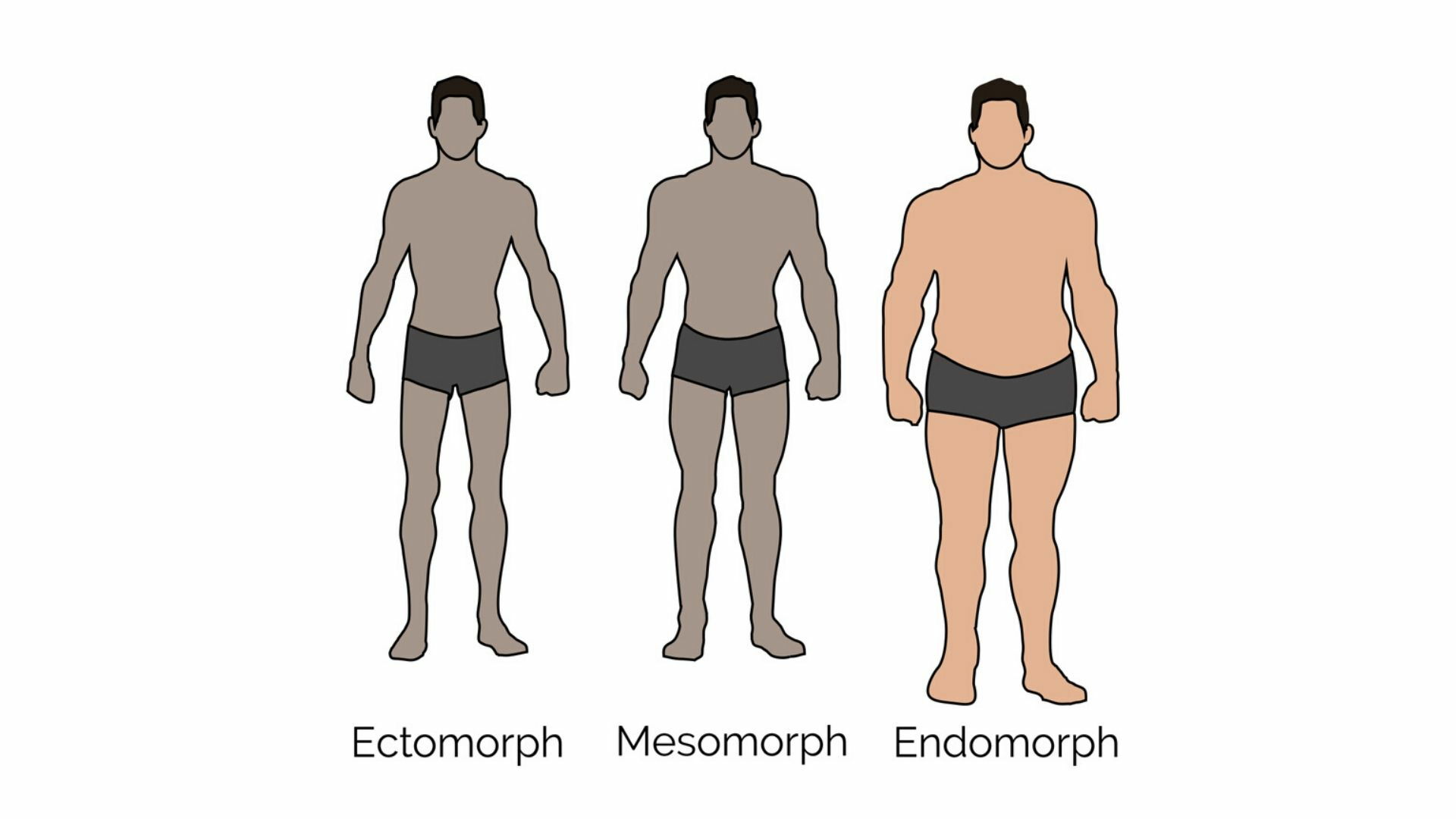 Which somatotype are you? Mesomorph, Endomorph, Ectomorph