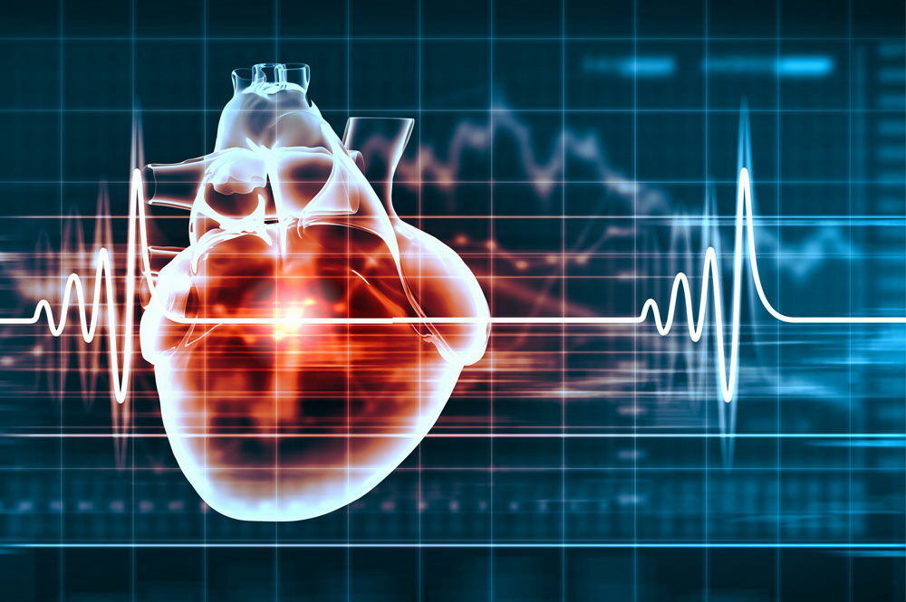 Frequenza cardiaca massima e di riposo