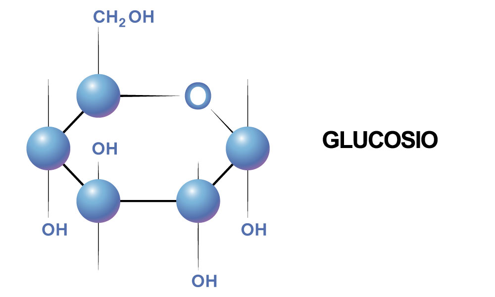 Integrazione di zuccheri: perchè e quando serve