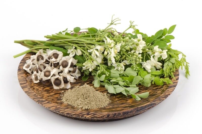 From Moringa many benefits for your well-being
