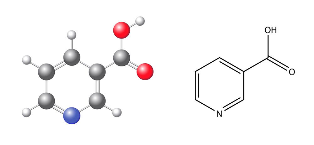 Niacina (Vitamina B3, Acido Nicotinico, Niacinamide, Nicotinamide): dove si  trova e a cosa serve