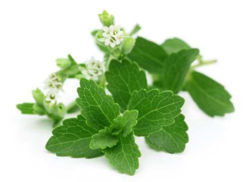 Stevia is a great sugar substitute