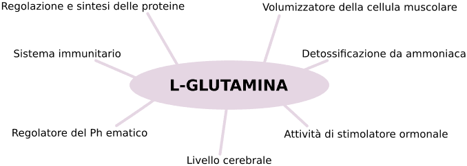 D'autres usages de la glutamine