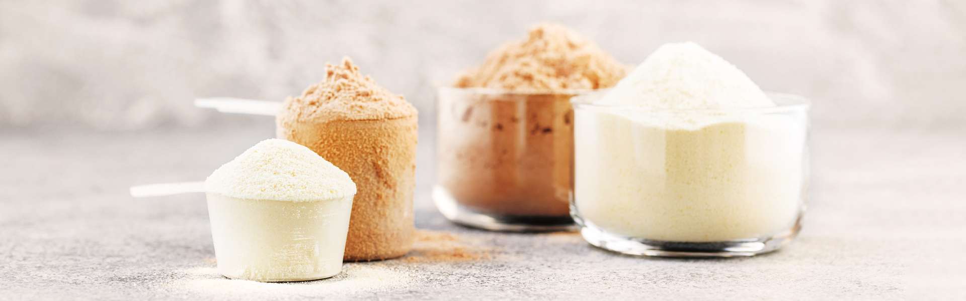 Protein powder: which to choose?