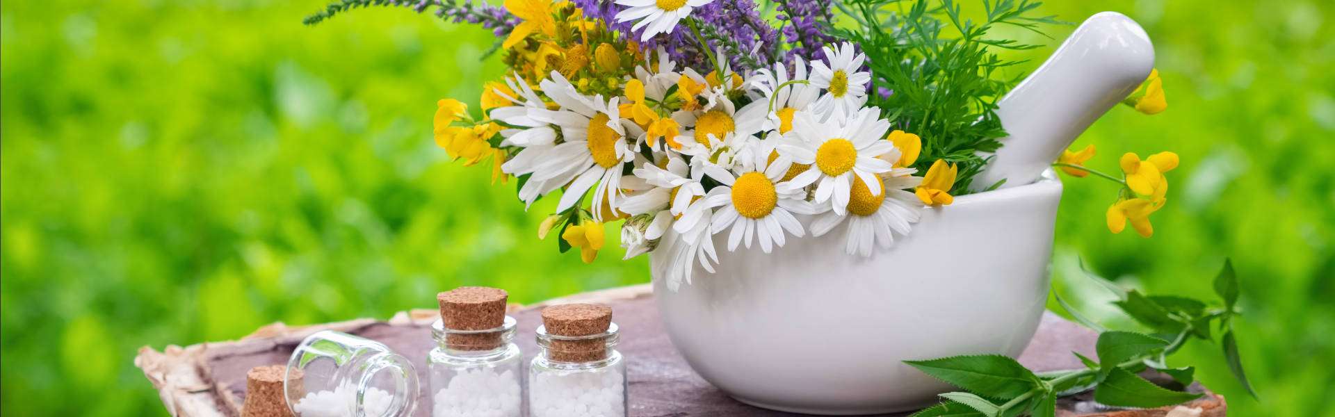 10 de abril: Día Mundial de la Homeopatía