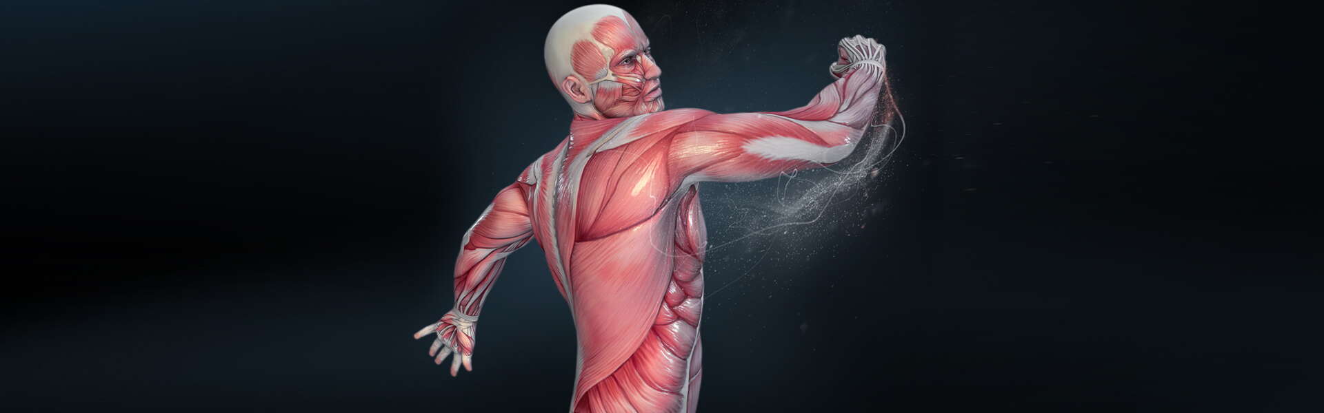 I vari tipi di Forza Muscolare: descrizione dettagliata