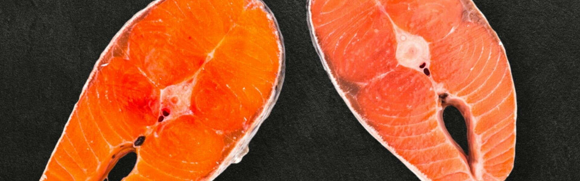 D'où vient votre saumon? Les différences entre le saumon d'élevage et le saumon sauvage