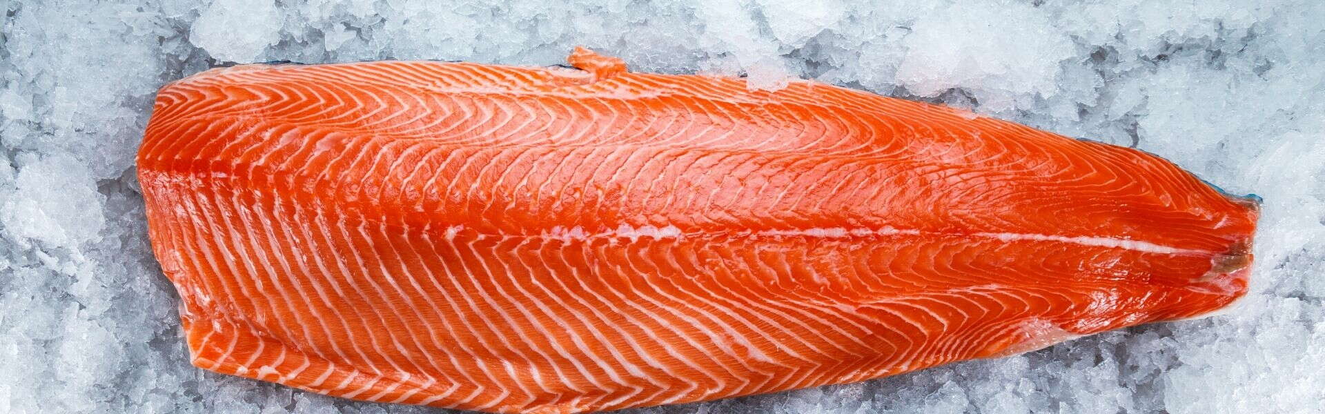 Salmon proteins | The new-generation of hydrolyzed proteins