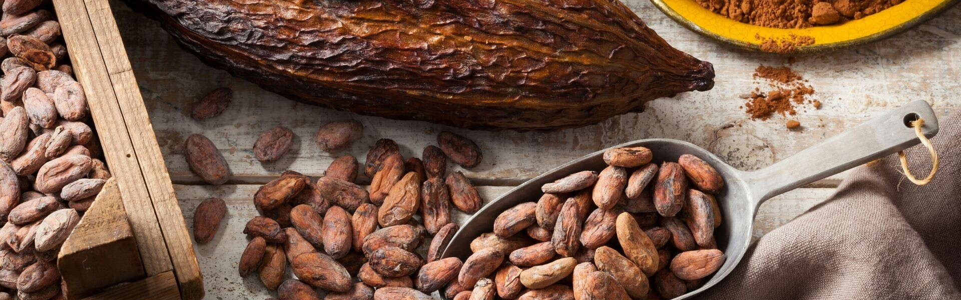 Benefici del Cacao | Come il cacao migliora la funzione cognitiva