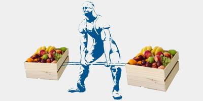 Free radicals and antioxidants in sports