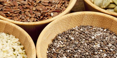 Oily Seeds, tiny helpers for our well-being