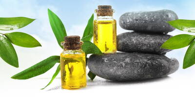 Tea Tree Oil: tutte le proprietà e gli usi