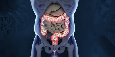 Che cos'è il microbiota