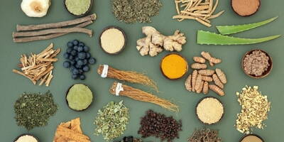 Sostanze Adattogene: fertilizzante naturale per il proprio equilibrio psicofisico
