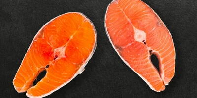 ¿De dónde viene tu salmón? Las diferencias entre el salmón de cultivo y el salmón salvaje