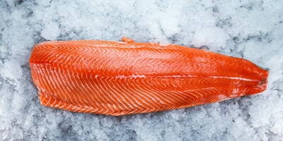 Proteine del salmone | La nuova generazione delle proteine idrolizzate