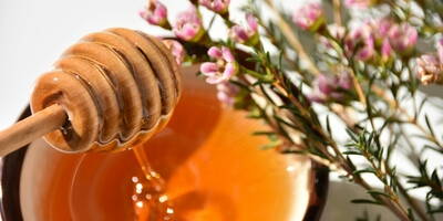 Miele di Manuka | Proprietà e caratteristiche