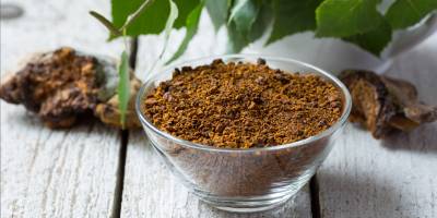 Chaga: il fungo della salute