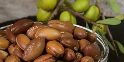 Argan oil properties: usage and benefits