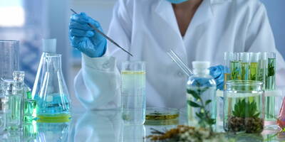 Phytotherapie: natürliche Heilmittel gegen Herbstkrankheiten
