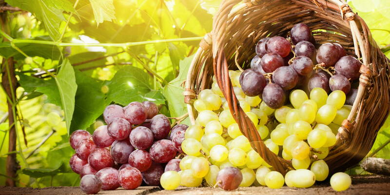 Grapes: a mix of health and beauty