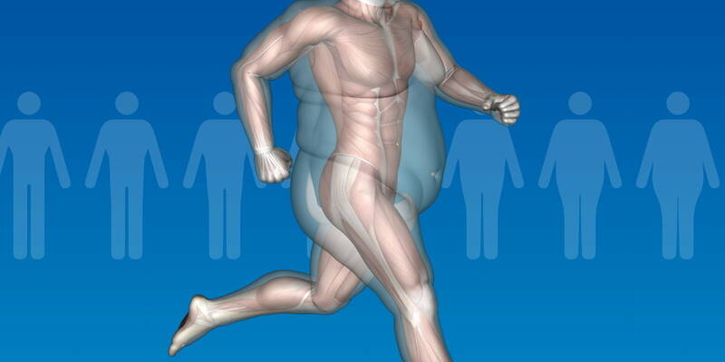 BMI calculation, morphology and body fat percentage