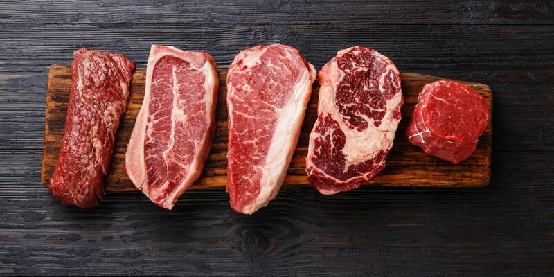 Protein focus | Hydrolyzed beef proteins