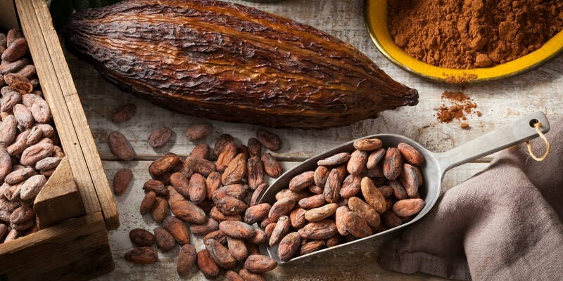 Benefici del Cacao | Come il cacao migliora la funzione cognitiva