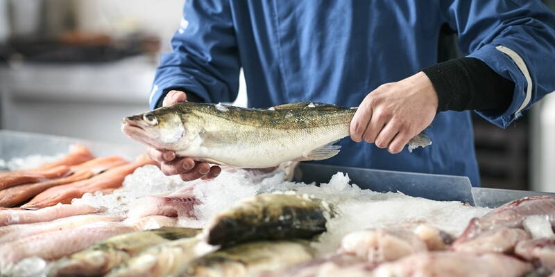 Why does a diet rich in fish improve memory?