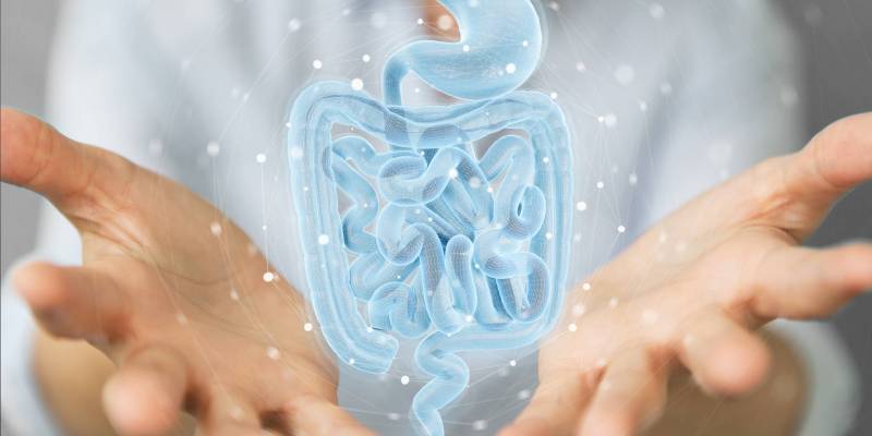 Probióticos y prebióticos: ¿que son y que funciones cumplen?