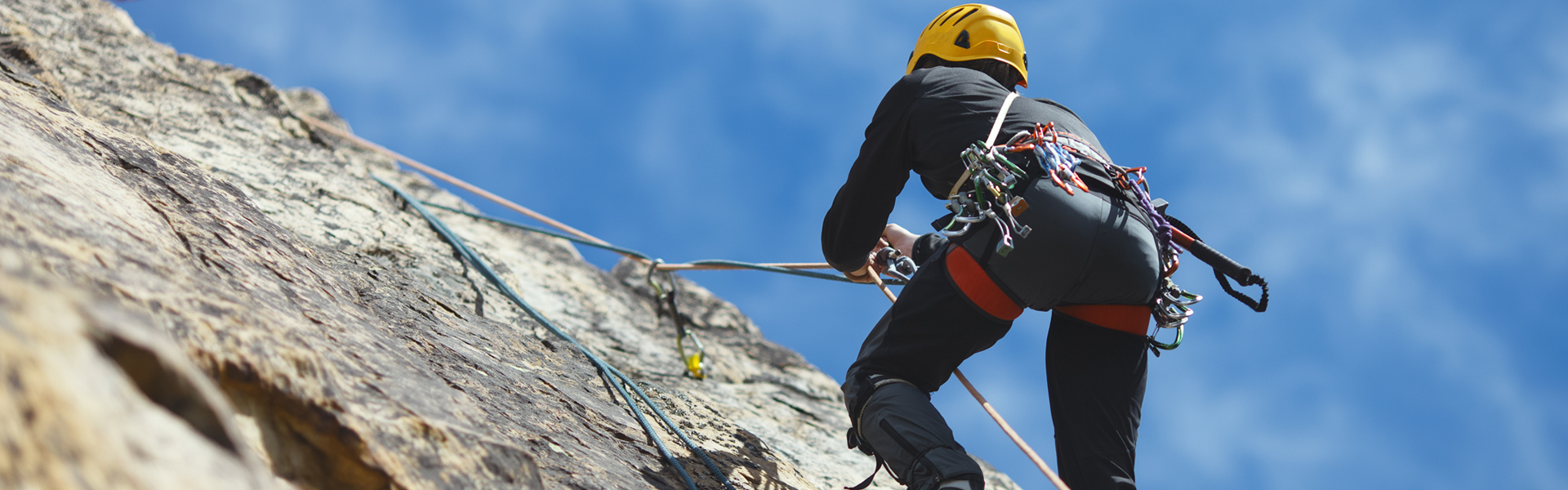 Arrampicata su roccia D-Shape Carabiner Porta a vite di chiusura alpinismo 