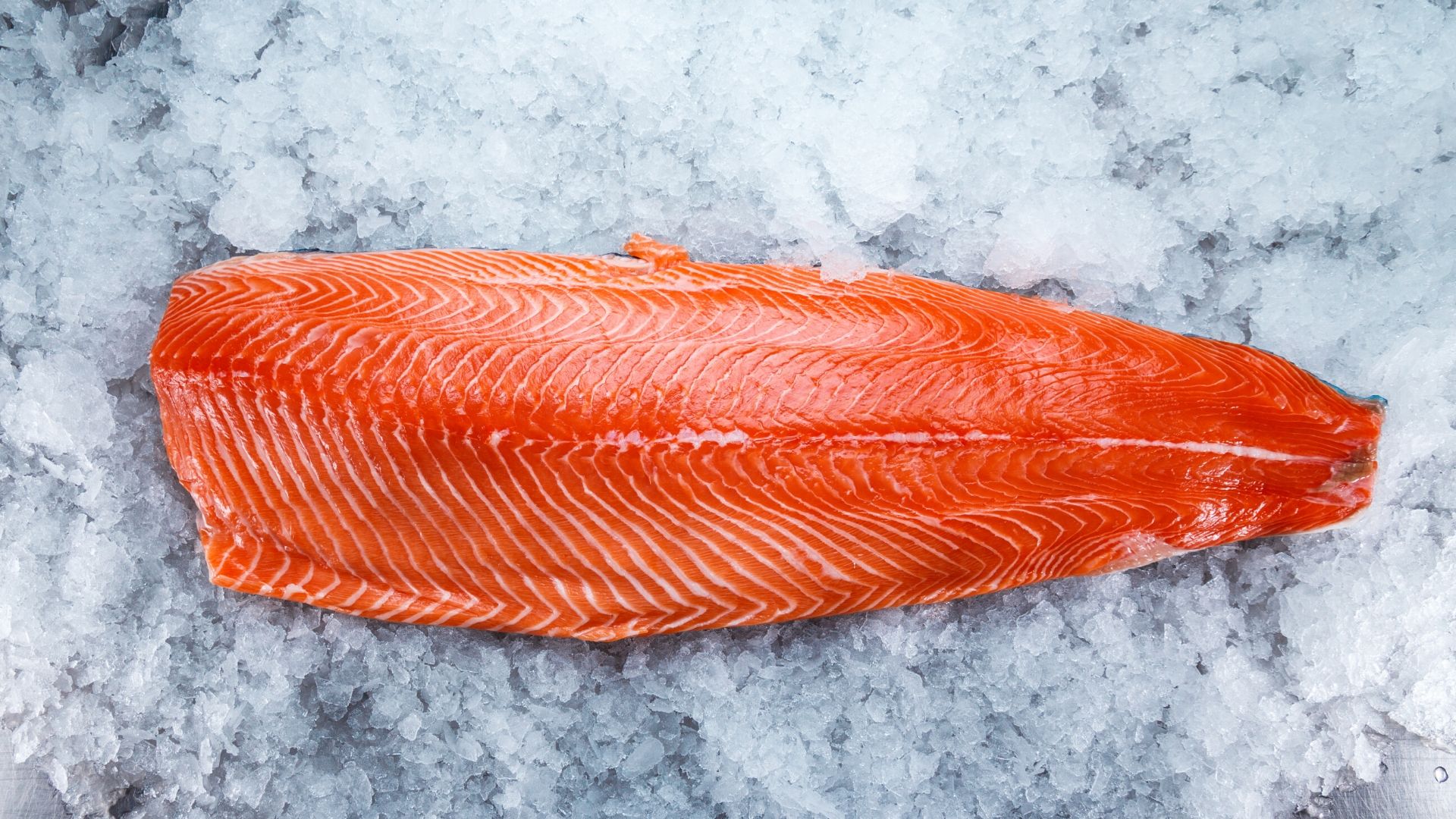 Salmon proteins | The new-generation of hydrolyzed proteins